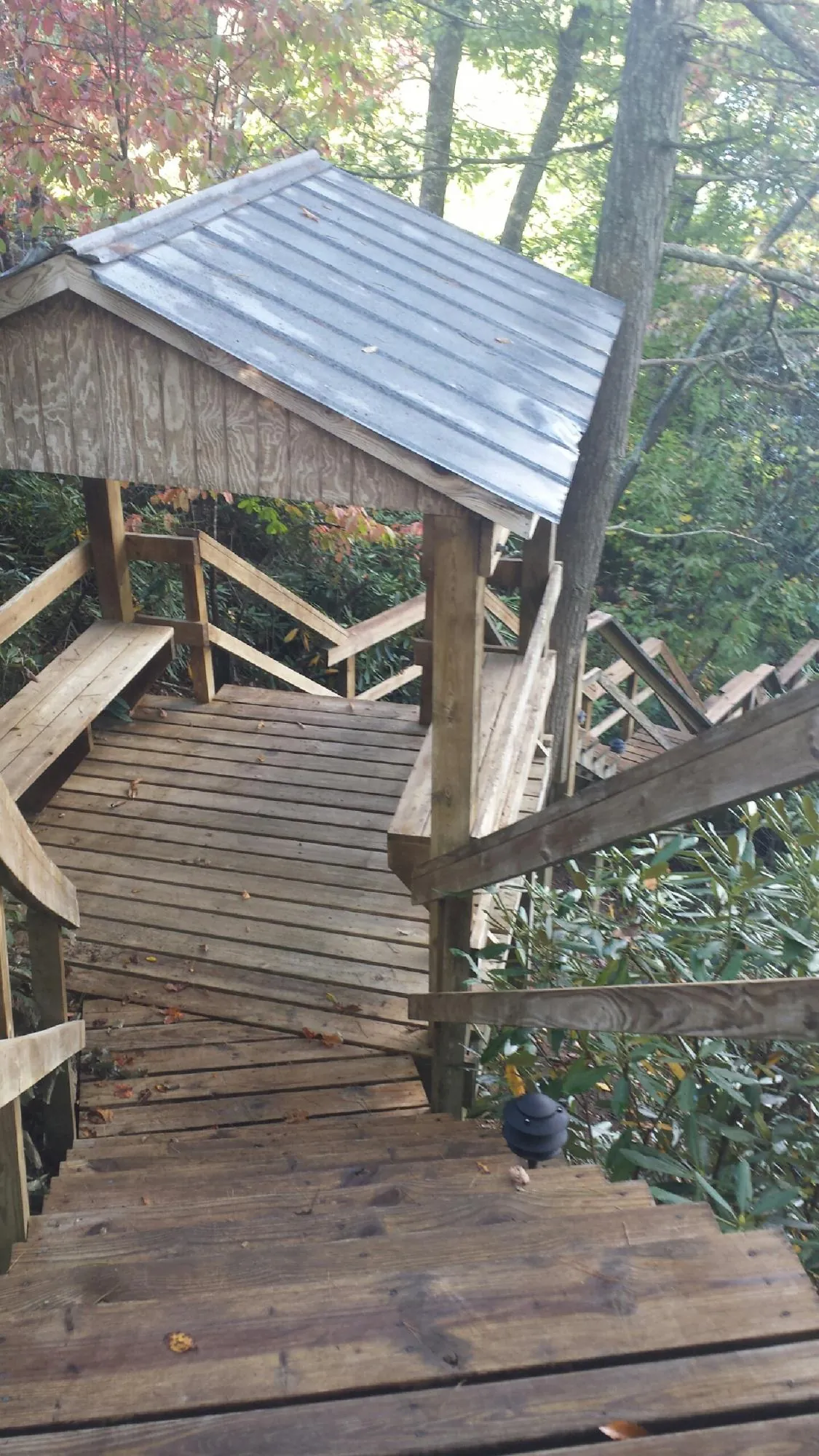 Metal roofed shelter over wooden steps on a wooded walkway — Skylight Repair & Installation work by our crew in Thrall